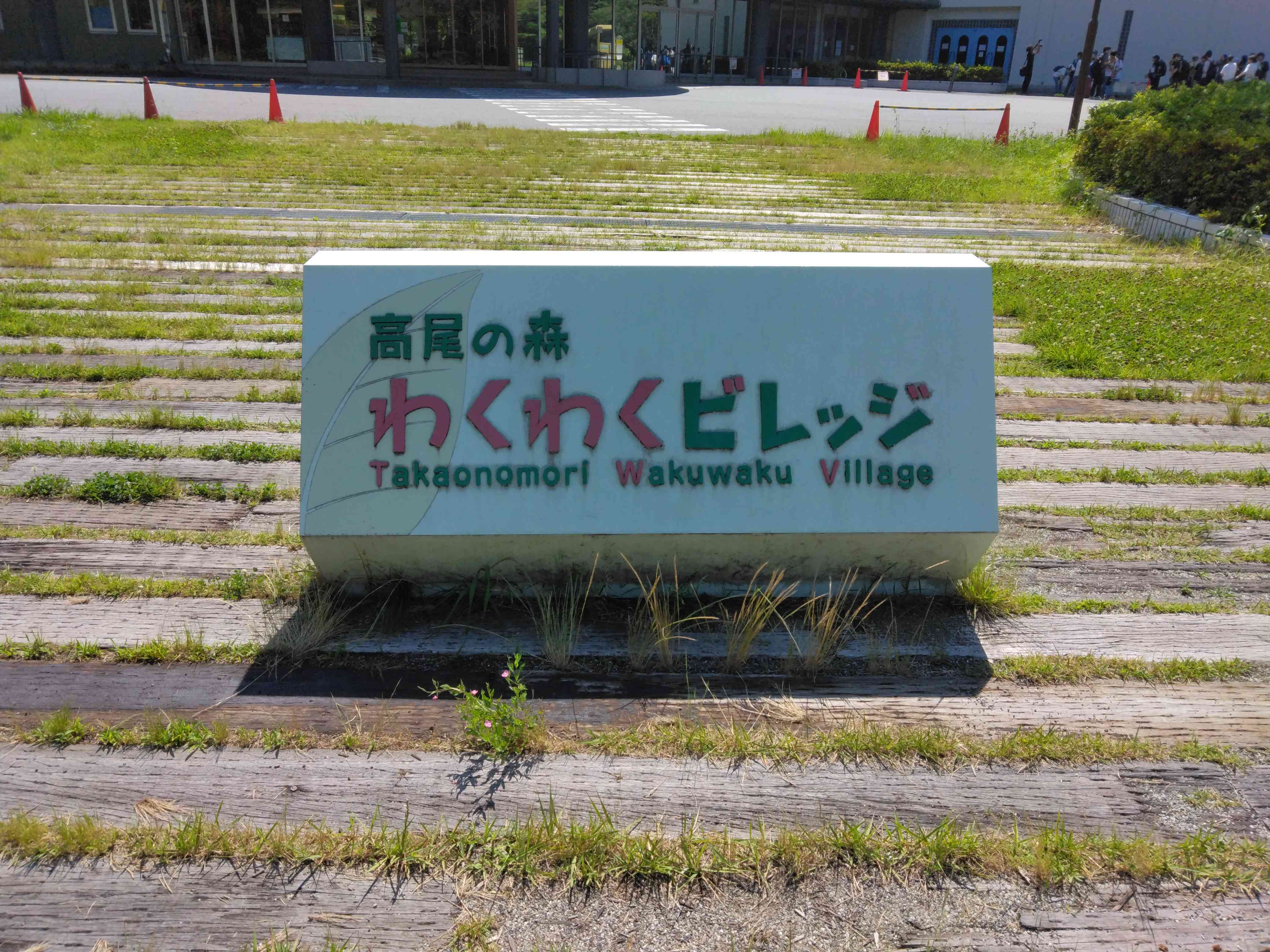 IMG_20250617_092042